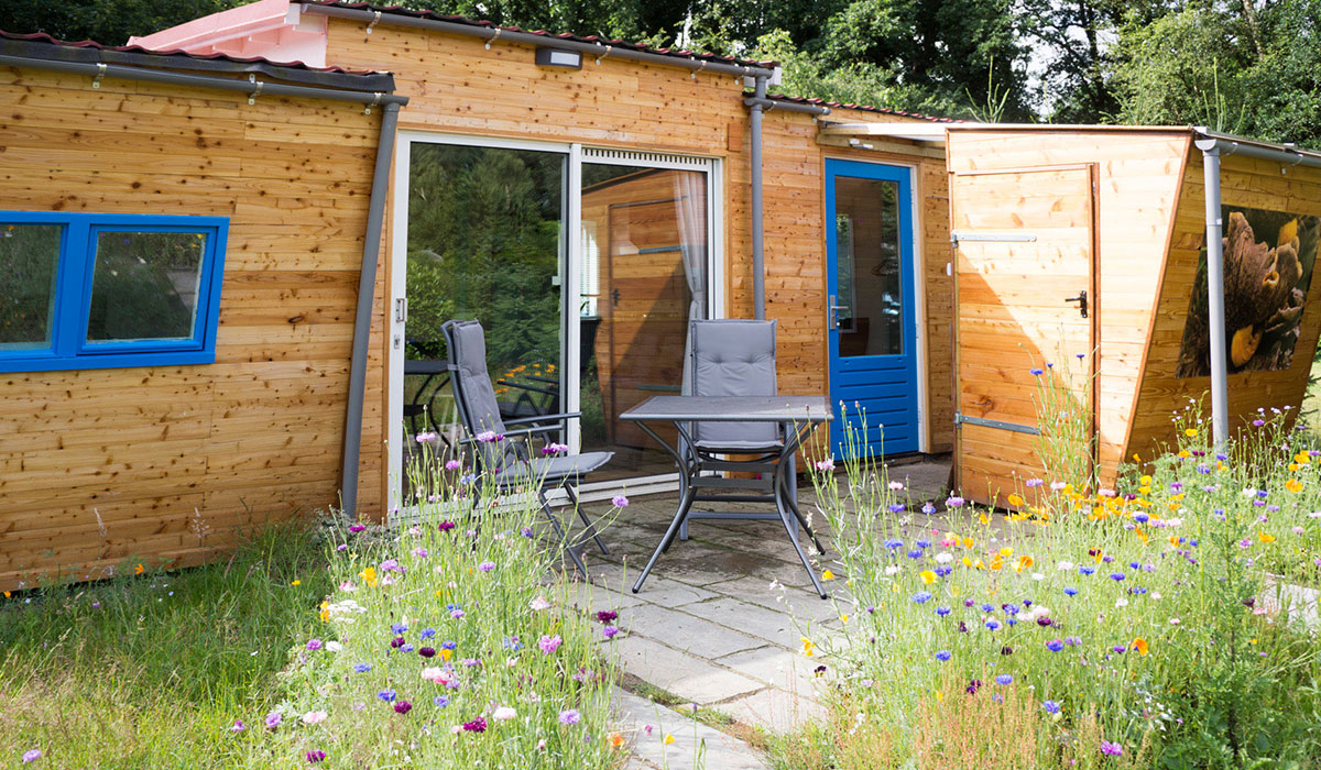 De Groene Valk Drenthe - zeegse visuel 3/4