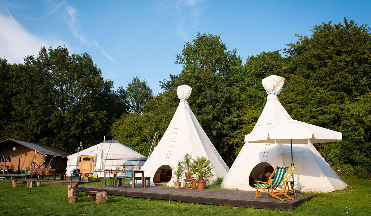 De Lievelinge Gheldria - Vuren visuel 5/6