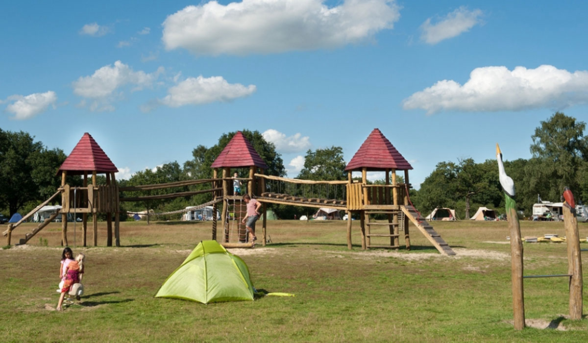 De Roos Overijssel - Beerze visuel 4/4