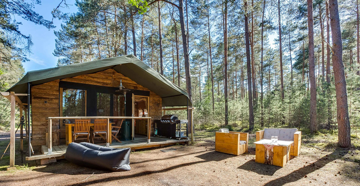 Gîtes insolites de Sologne Centro-Valle della Loira - Brinon-sur-Sauldre visuel 5/5 Gîtes insolites de Sologne Centro-Valle della Loira - Brinon-sur-Sauldre visuel 5/5
