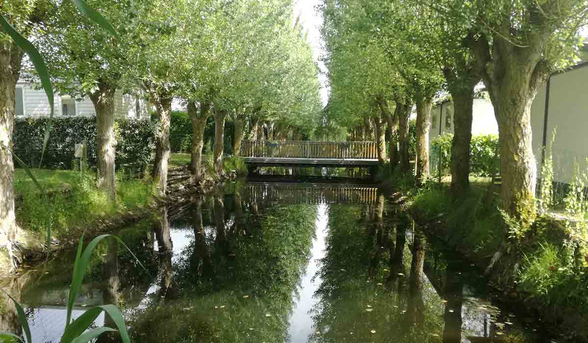 Domaine Le Jardin du Marais Paesi della Loira - Le Perrier visuel 10/20 Domaine Le Jardin du Marais Paesi della Loira - Le Perrier visuel 10/20