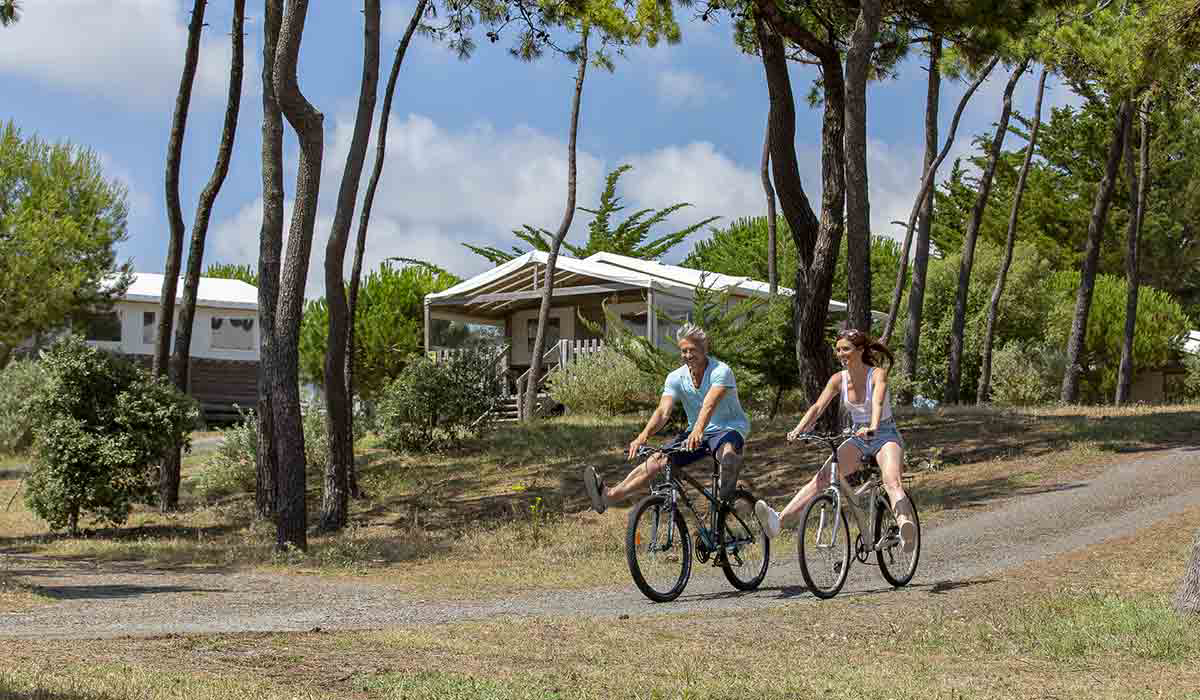 Domaine Le Midi Paesi della Loira - Barbâtre visuel 4/23 Domaine Le Midi Paesi della Loira - Barbâtre visuel 4/23