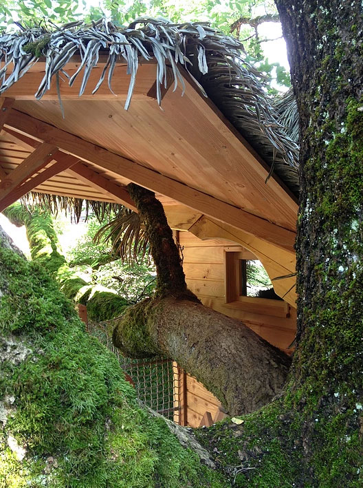 Domaine Les Cabanes de Marie Regione del Lemano - Ogens visuel 4/12 Domaine Les Cabanes de Marie Regione del Lemano - Ogens visuel 4/12