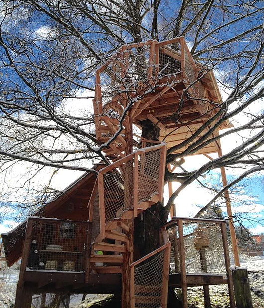 Domaine Les Cabanes de Marie Regione del Lemano - Ogens visuel 6/12 Domaine Les Cabanes de Marie Regione del Lemano - Ogens visuel 6/12