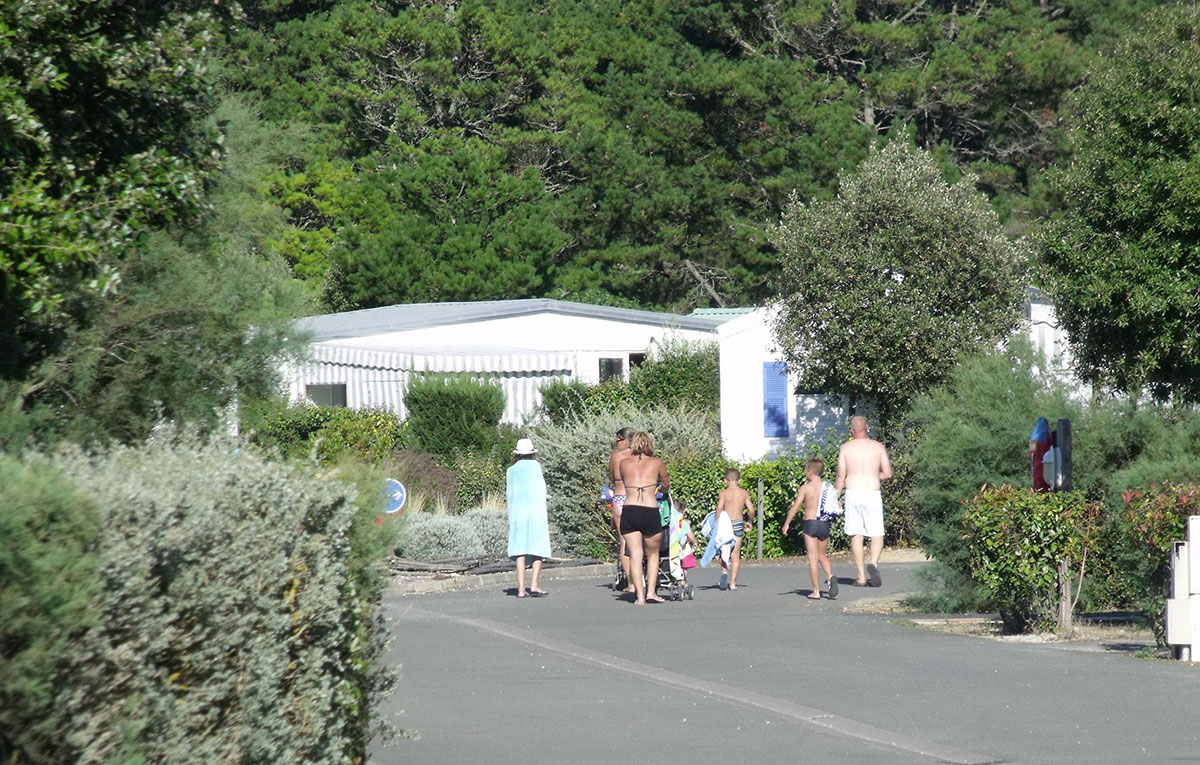 Domaine Résidentiel de plein-air L'Etang de Besse Paesi della Loira - Saint-Hilaire-de-Riez visuel 13/15 Domaine Résidentiel de plein-air L'Etang de Besse Paesi della Loira - Saint-Hilaire-de-Riez visuel 13/15