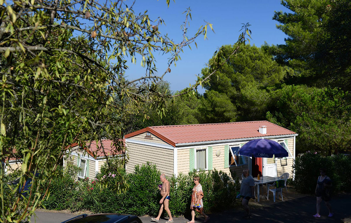 Domaine Résidentiel de plein-air La Pinède Linguadoca-Rossiglione - Agde visuel 14/21