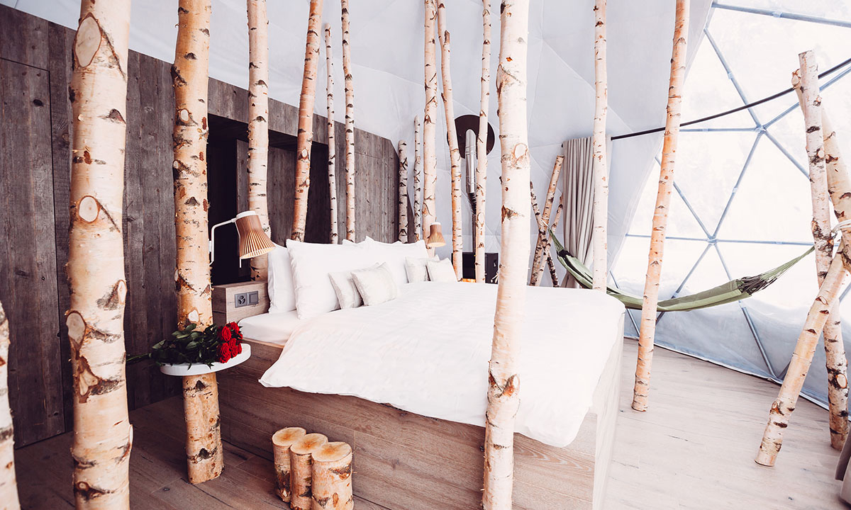 Domaine Whitepod Regione del Lemano - Monthey visuel 3/7