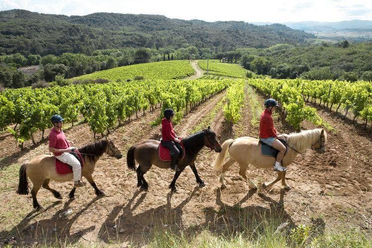 Domaine d'Arnauteille Linguadoca-Rossiglione - Montclar visuel 14/15