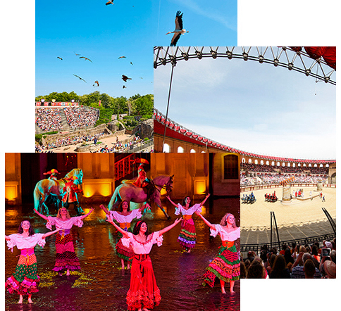 Domaine de Mélusine Paesi della Loira - Les Épesses visuel 3/3