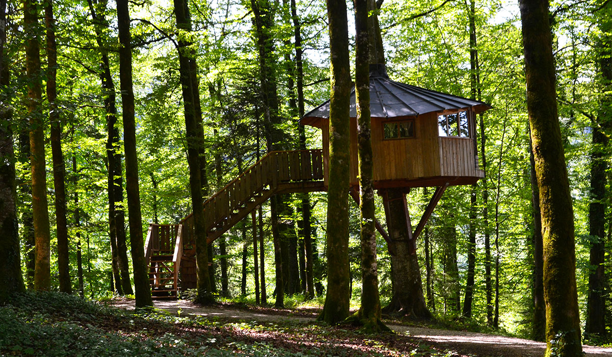 Domaine de Syam Franca Contea - Syam visuel 7/19