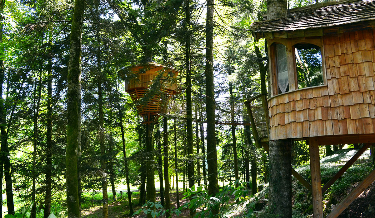 Domaine de Syam Franca Contea - Syam visuel 5/19