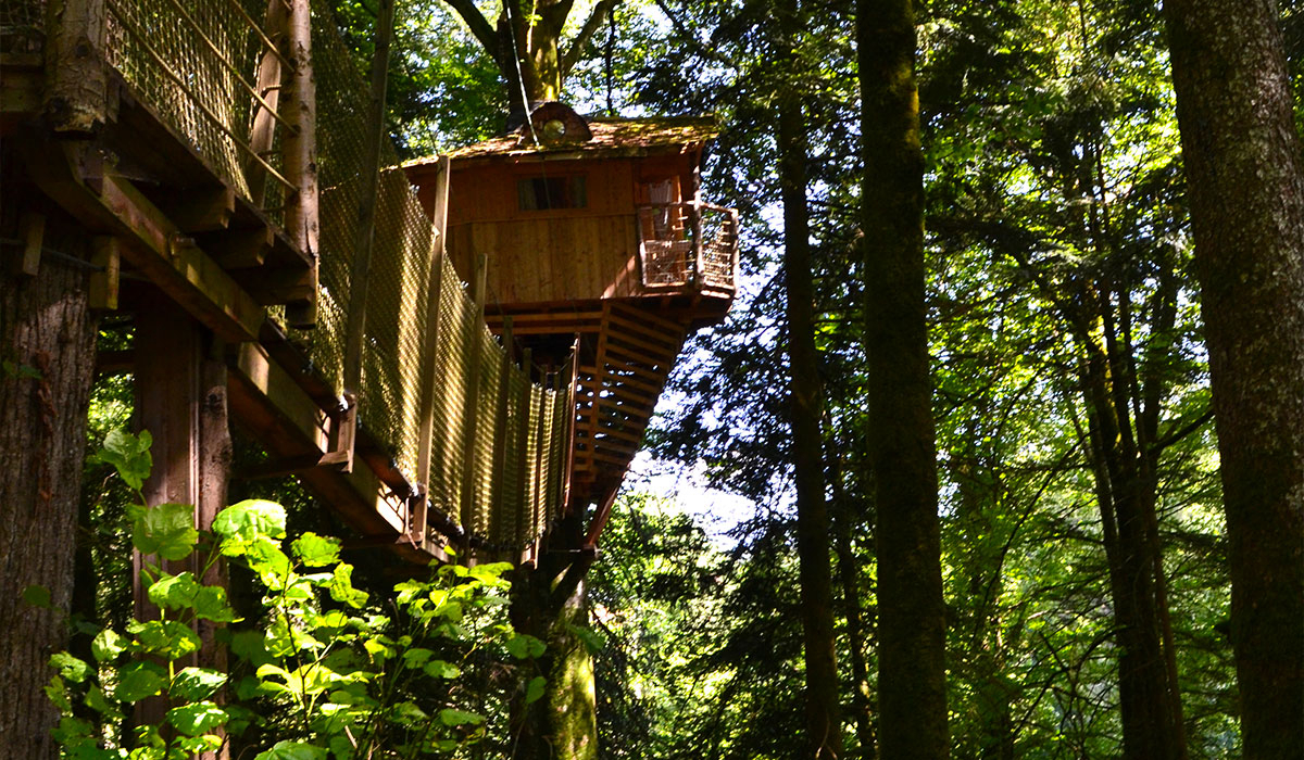 Domaine de Syam Franca Contea - Syam visuel 10/19