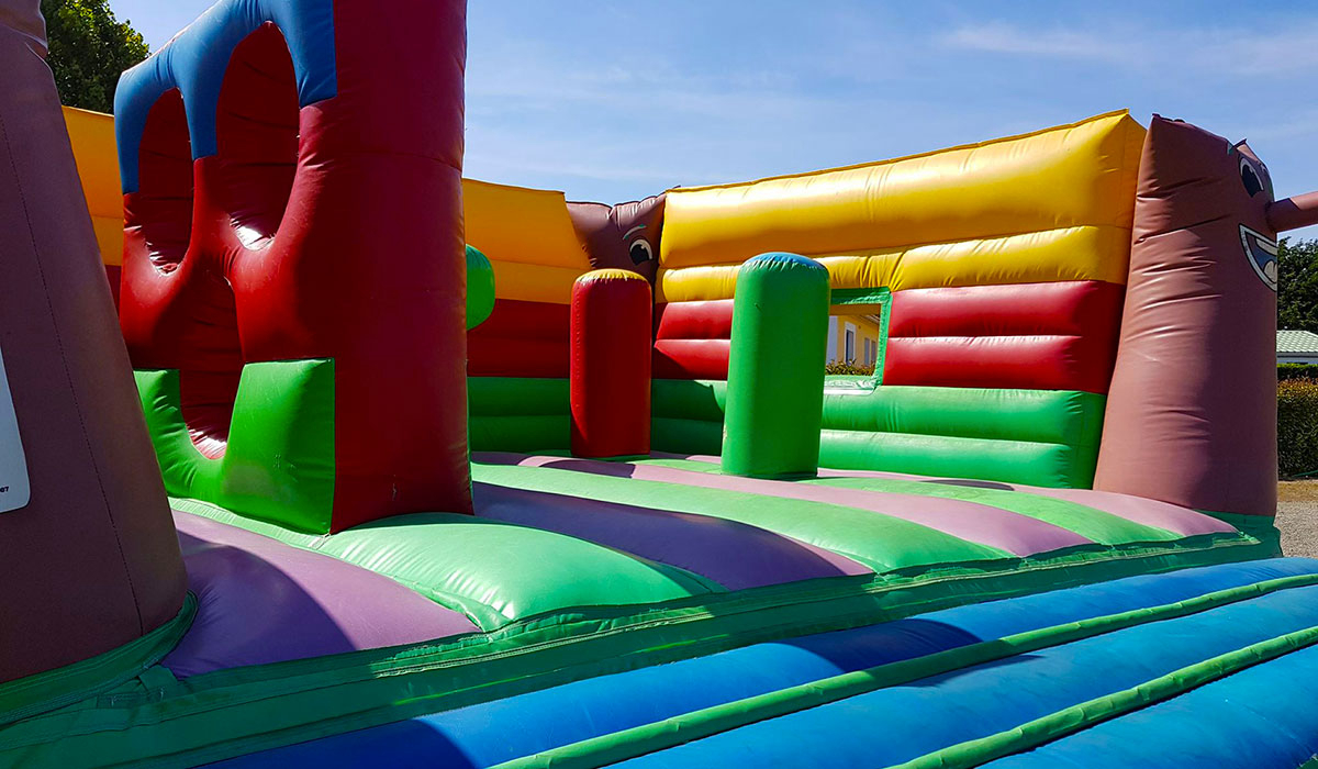 Domaine de l'Orée Paesi della Loira - Olonne-sur-Mer visuel 21/22