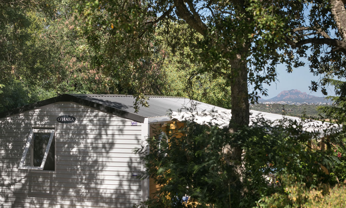 Domaine de la Bergerie Provenza-Alpi-Costa Azzurra - Roquebrune-sur Argens visuel 11/11