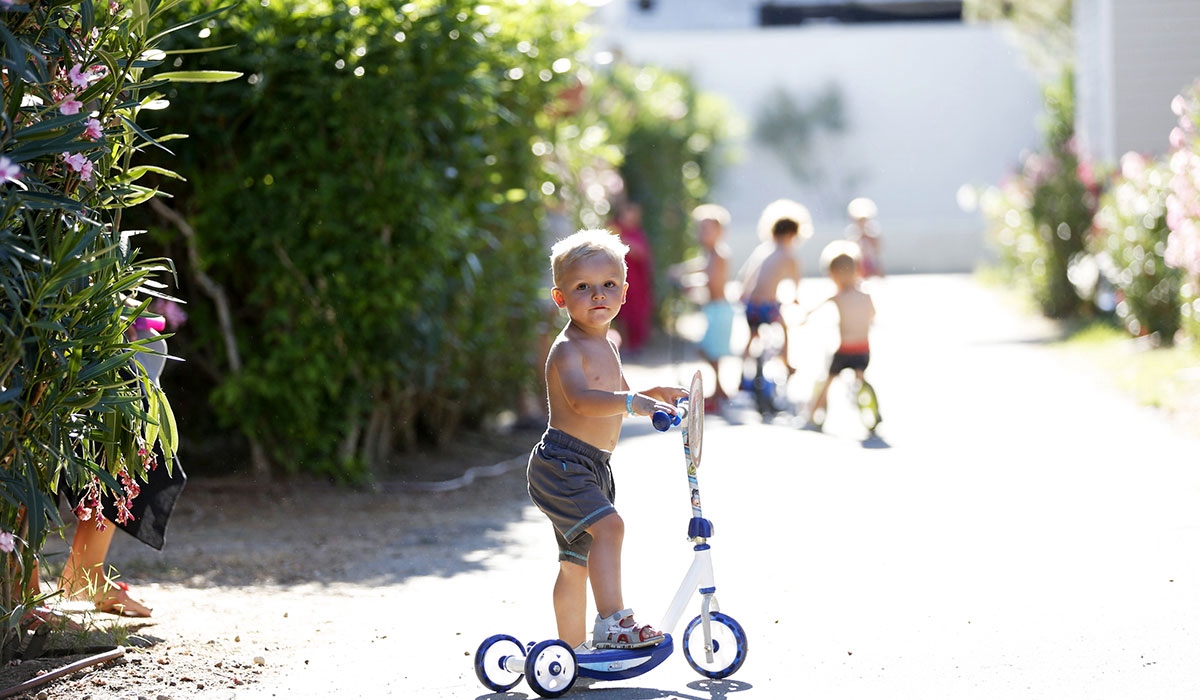 Domaine de la Dragonnière Linguadoca-Rossiglione - Vias visuel 50/50