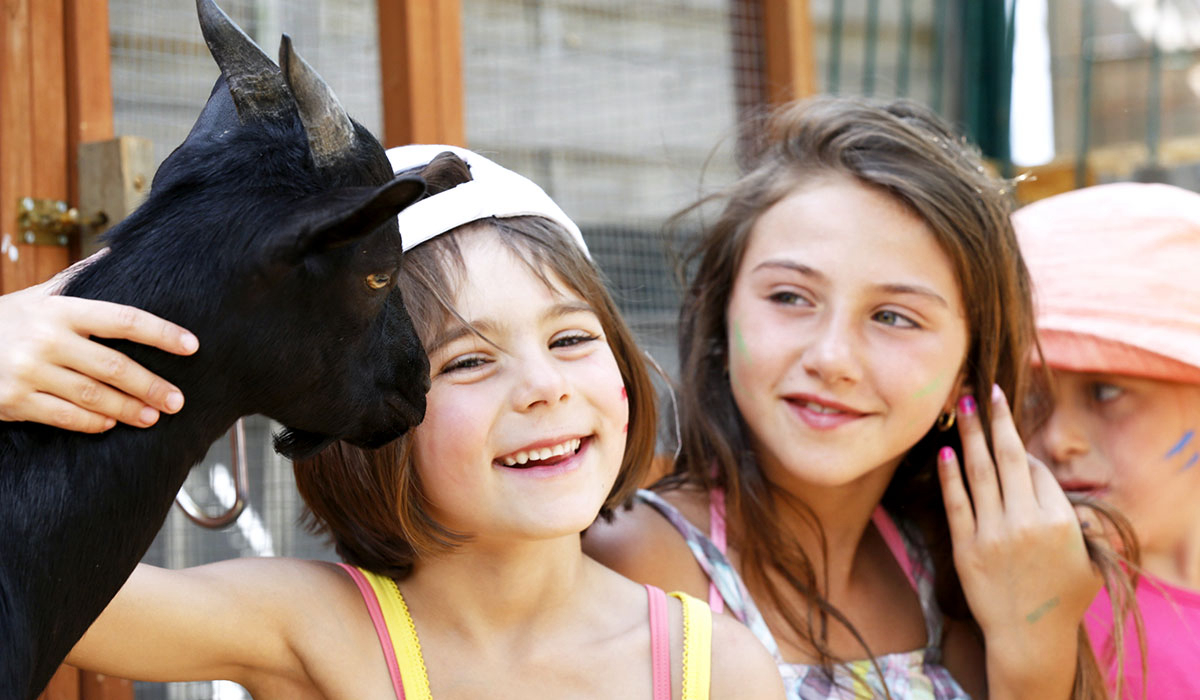 Domaine de la Dragonnière Linguadoca-Rossiglione - Vias visuel 44/50