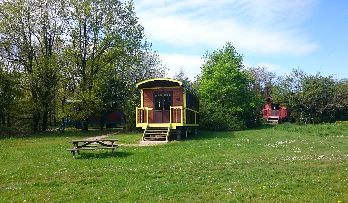 Domaine de la Grangée Centro-Valle della Loira - La Chapelle-Blanche-Saint-Martin visuel 14/14 Domaine de la Grangée Centro-Valle della Loira - La Chapelle-Blanche-Saint-Martin visuel 14/14