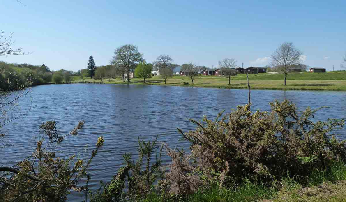 Domaine de la Héchaie Bretagna - Marzan visuel 2/15 Domaine de la Héchaie Bretagna - Marzan visuel 2/15