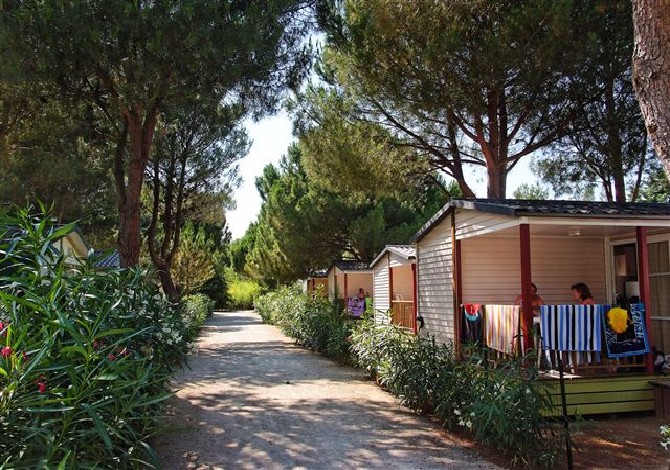 Domaine de la Pinède Enchantée Linguadoca-Rossiglione - Argelès-sur-Mer visuel 7/8 Domaine de la Pinède Enchantée Linguadoca-Rossiglione - Argelès-sur-Mer visuel 7/8