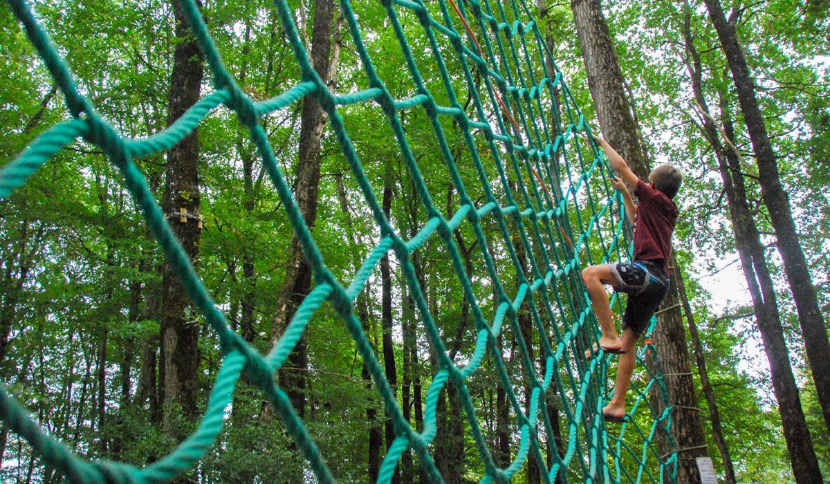 Domaine de l’Oiselière Paesi della Loira - Chauché visuel 11/20 Domaine de l’Oiselière Paesi della Loira - Chauché visuel 11/20