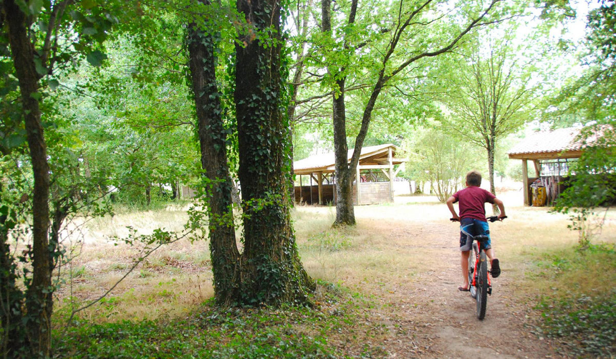 Domaine de l’Oiselière Paesi della Loira - Chauché visuel 12/20 Domaine de l’Oiselière Paesi della Loira - Chauché visuel 12/20