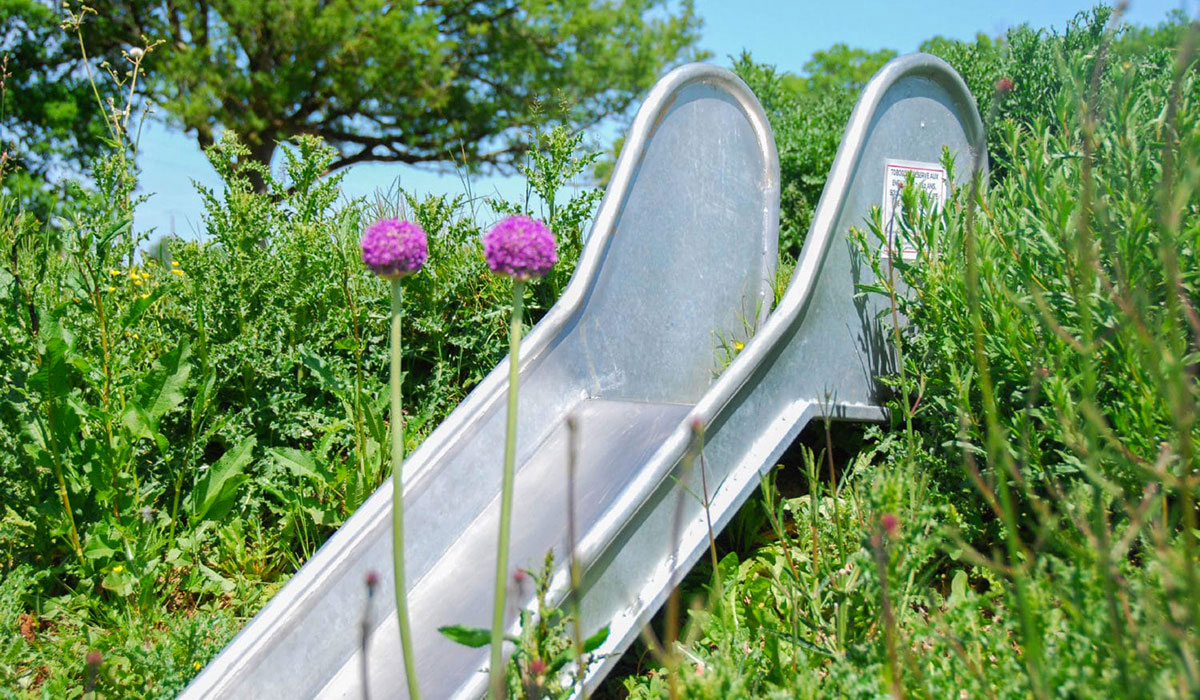 Domaine de l’Oiselière Paesi della Loira - Chauché visuel 13/20 Domaine de l’Oiselière Paesi della Loira - Chauché visuel 13/20