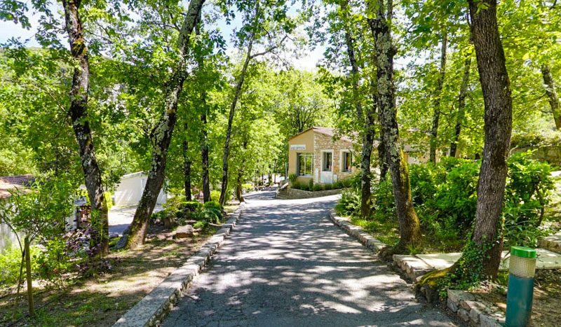 Domaine des Blachas Rodano-Alpi - Salavas visuel 4/12 Domaine des Blachas Rodano-Alpi - Salavas visuel 4/12