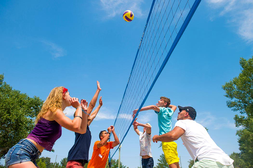 Domaine des Iscles Provenza-Alpi-Costa Azzurra - La Roque-d'Anthéron visuel 7/11 Domaine des Iscles Provenza-Alpi-Costa Azzurra - La Roque-d'Anthéron visuel 7/11