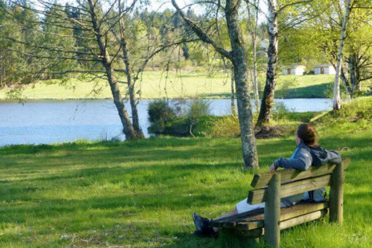 Domaine du Balbuzard Alvernia - Condat-en-Combraille visuel 3/7