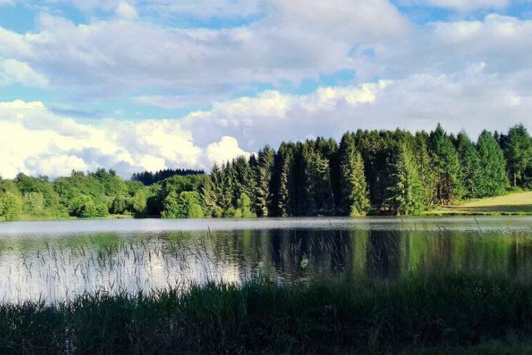 Domaine du Balbuzard Alvernia - Condat-en-Combraille visuel 7/7