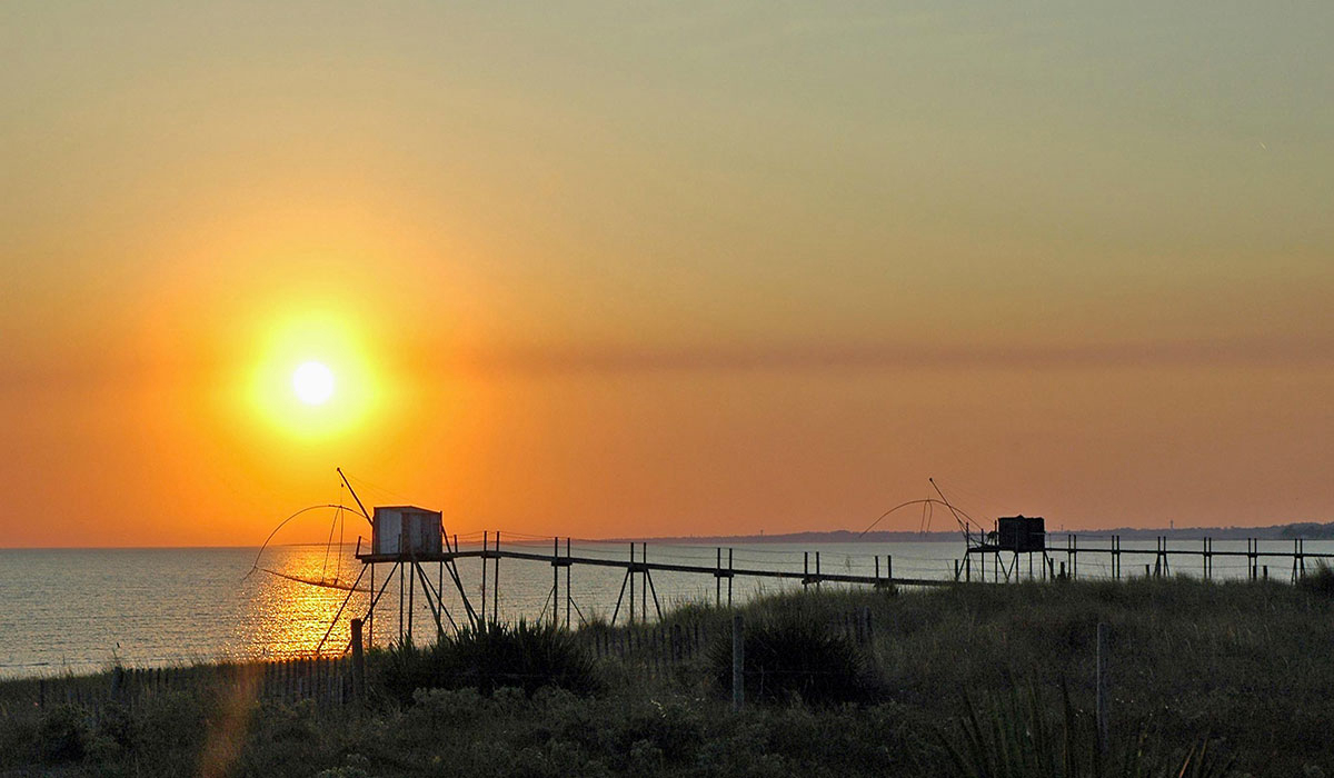Domaine du Collet Paesi della Loira - Les Moutiers en Retz visuel 15/15 Domaine du Collet Paesi della Loira - Les Moutiers en Retz visuel 15/15