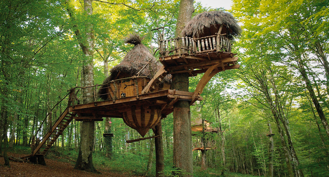 Domaine l'Arbre à Cabane Champagne-Ardenne - Guyonvelle visuel 1/3 Domaine l'Arbre à Cabane Champagne-Ardenne - Guyonvelle visuel 1/3