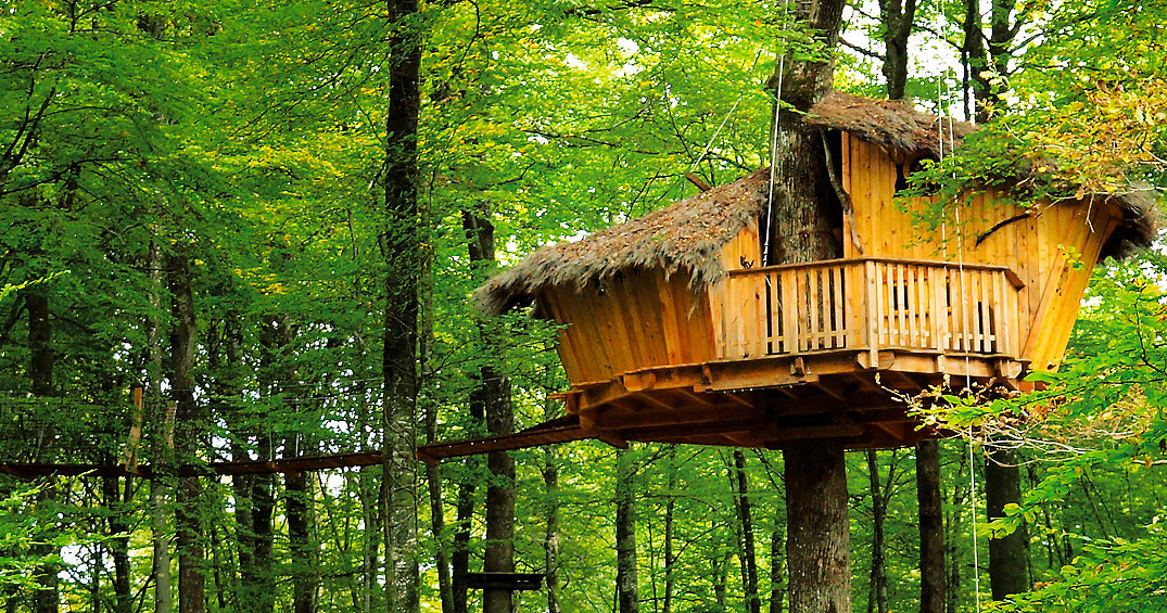 Domaine l'Arbre à Cabane Champagne-Ardenne - Guyonvelle visuel 2/3 Domaine l'Arbre à Cabane Champagne-Ardenne - Guyonvelle visuel 2/3