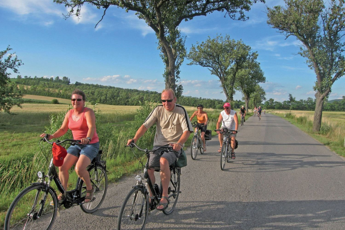 Donaupark Tulln Bassa Austria - Tulln an der Donau visuel 12/19