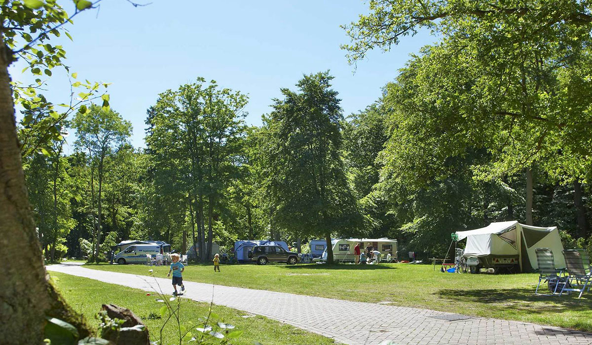 Duinrell Olanda Meridionale - wassenaar visuel 6/6