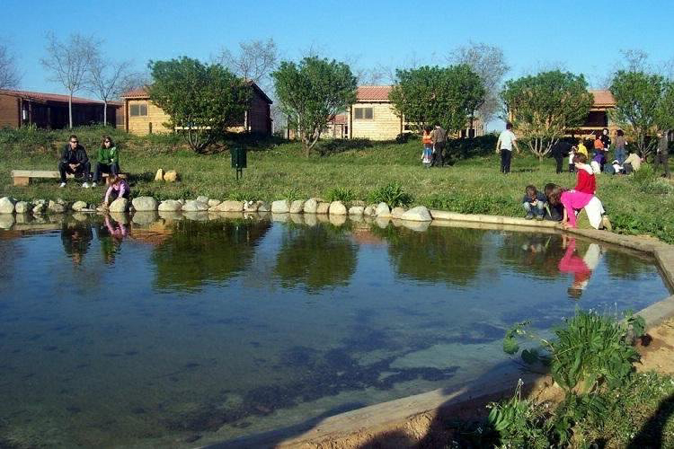 Ecocamp Vinyols Catalogna - Vinyols i els Arcs visuel 4/9