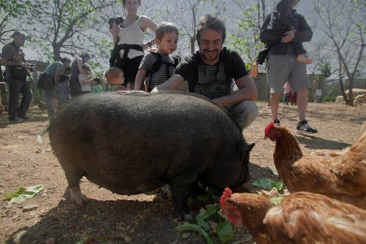 Ecocamp Vinyols Catalogna - Vinyols i els Arcs visuel 6/9