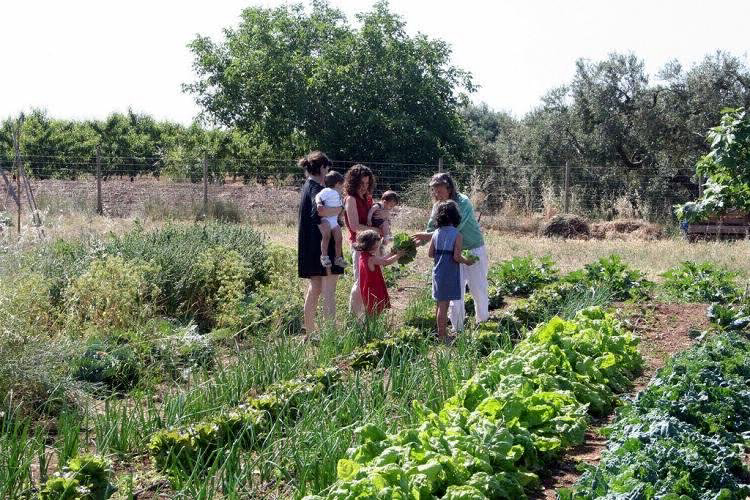 Ecocamp Vinyols Catalogna - Vinyols i els Arcs visuel 3/9