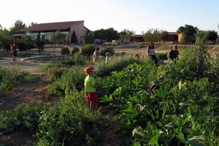 Ecocamp Vinyols Catalogna - Vinyols i els Arcs visuel 2/9