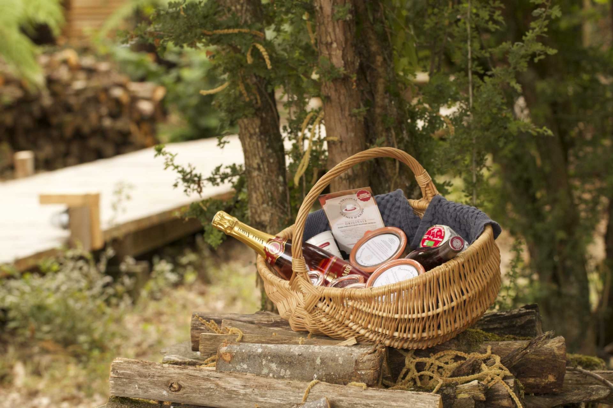 Domaine Ecolodge de Loire Paesi della Loira - Saint-Georges-des-Sept-Voies visuel 8/8