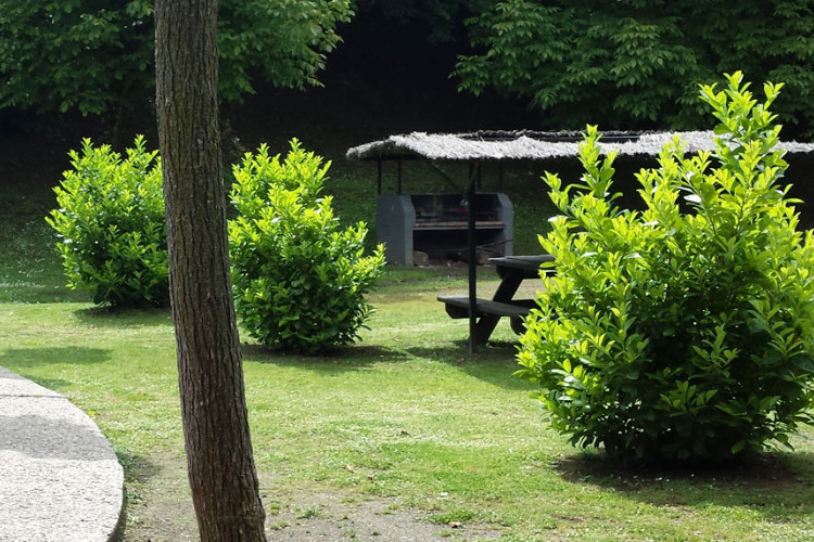 Ecologic Lava Catalogna - Olot visuel 2/10