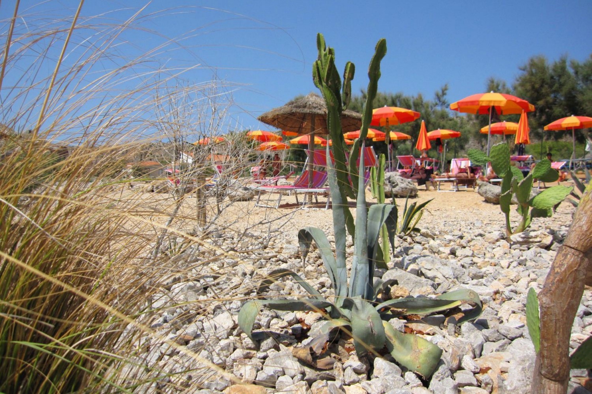 El Bahira Sicilia - San Vito Lo Capo visuel 5/7