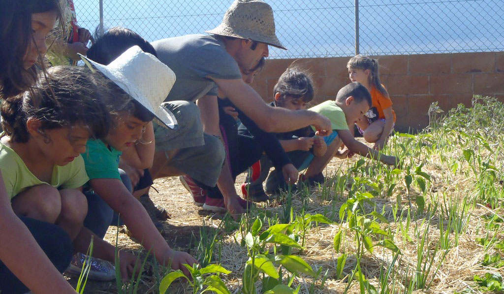 El Pla de Mar Costa Brava - Malgrat de Mar visuel 9/12