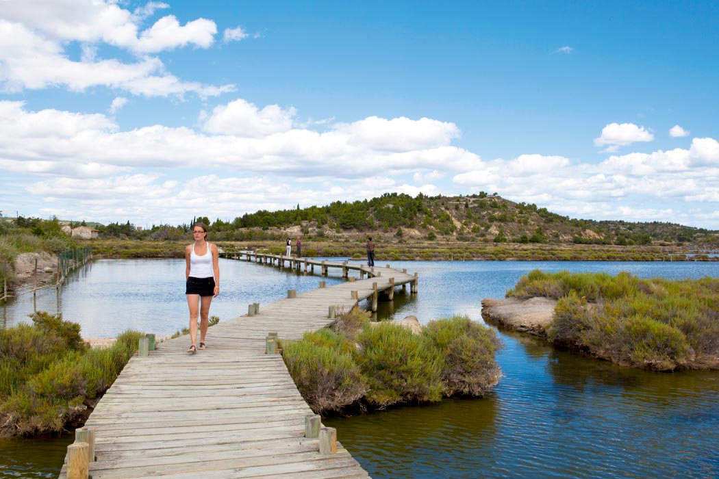 Ensoya Linguadoca-Rossiglione - Sigean visuel 2/7