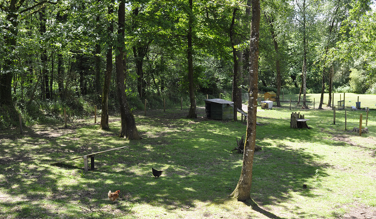 Entre Terre et Mer Bretagna - Pont Scorff visuel 7/15