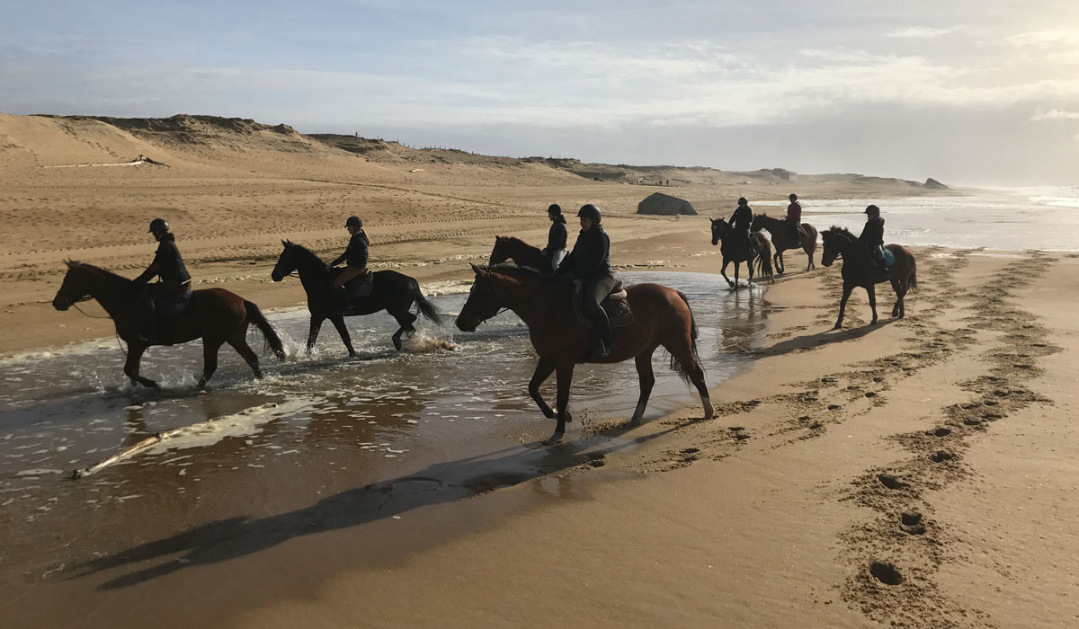 Espace Blue Océan Aquitania - Ondres visuel 14/30