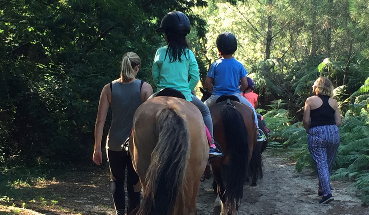 Espace Blue Océan Aquitania - Ondres visuel 12/30