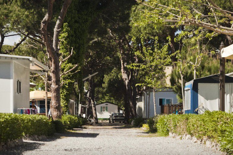 Estrella de Mar Catalogna - Castelldefels visuel 4/5