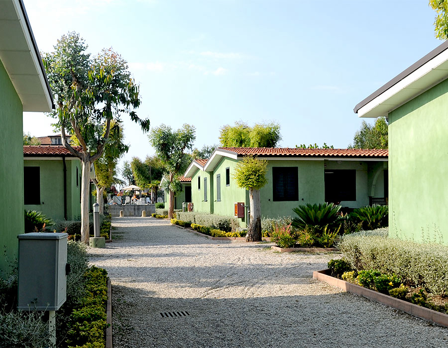 Eucaliptus Abruzzo - Alba Adriatica visuel 3/3 Eucaliptus Abruzzo - Alba Adriatica visuel 3/3