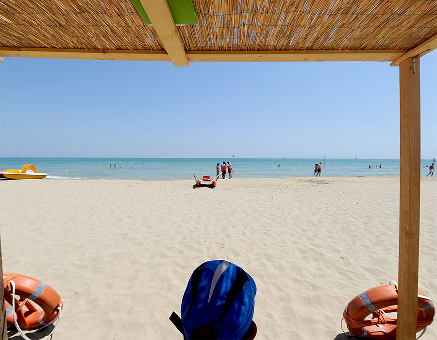 Eucaliptus Abruzzo - Alba Adriatica visuel 2/3 Eucaliptus Abruzzo - Alba Adriatica visuel 2/3